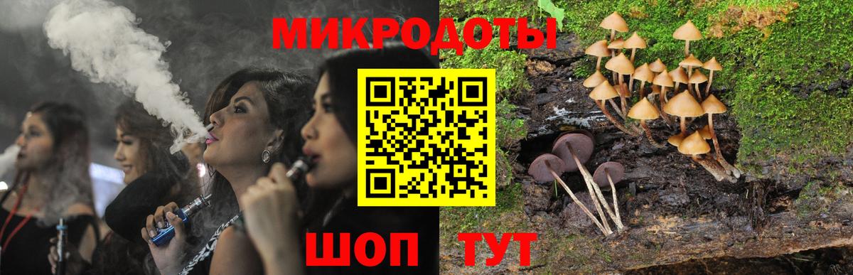 Орск  Псилоцибиновые грибы Cubensis  Вход с VPN 